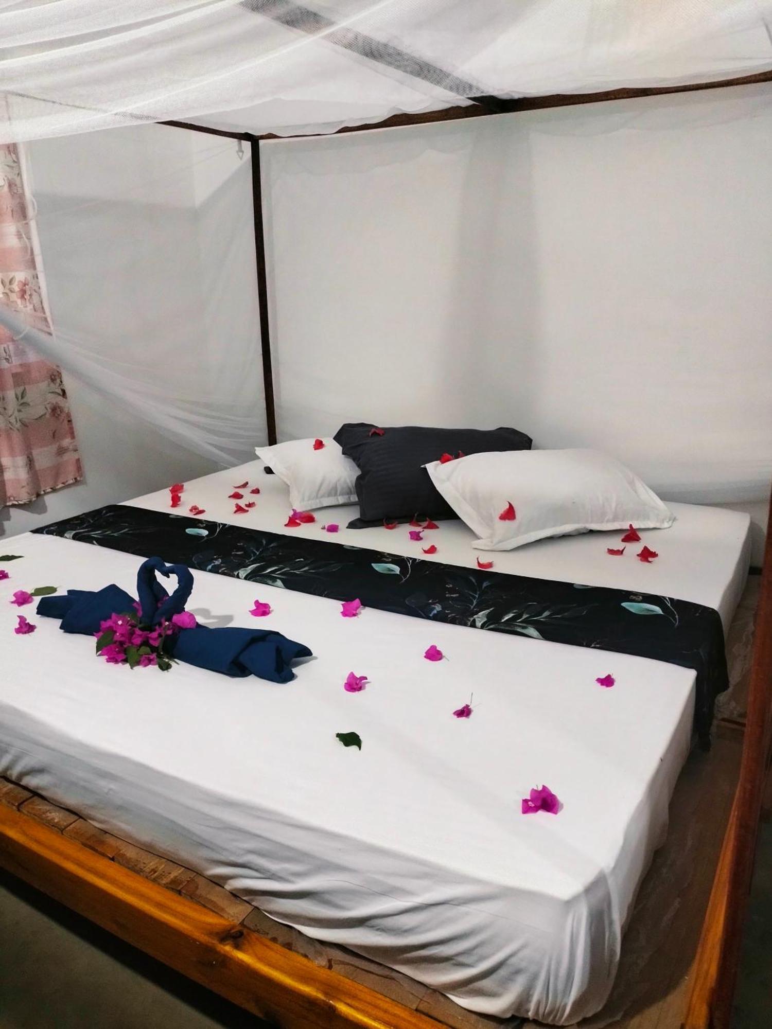 Hostel Costels Arugambay Arugam Bay Exterior foto